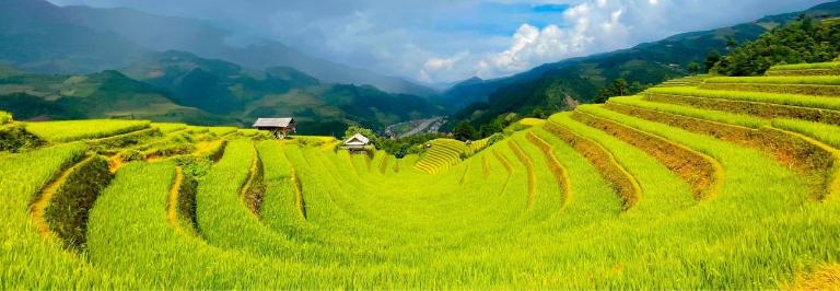 Mu Cang Chai Terraced Fields