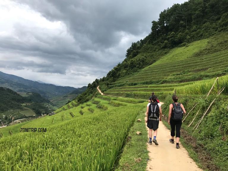 Mu Cang Chai Terraced Fields