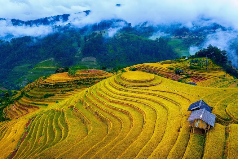 Mu Cang Chai Terraced Fields