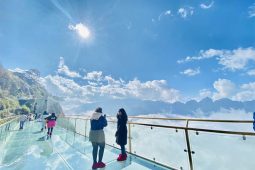 Sapa Glass Bridge