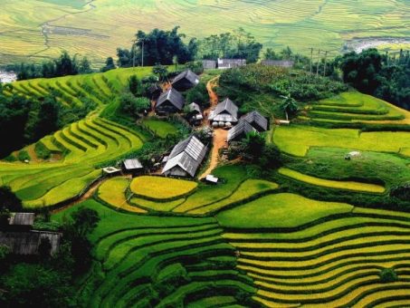 Saba Rice Fields Sapa Rice Fields: A Complete Guide to the Iconic Terraces of Vietnam