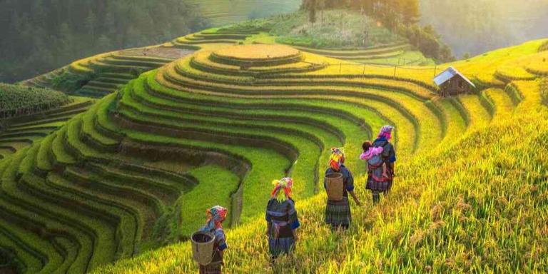 Sapa Travel