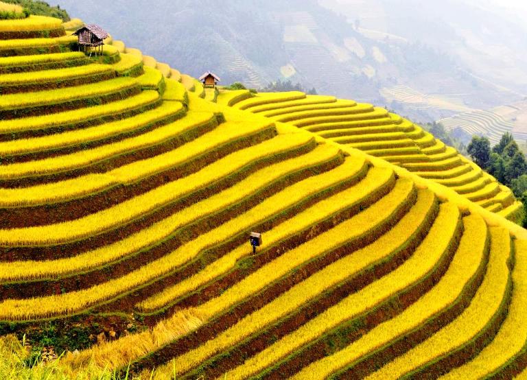 Sapa in September