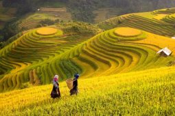 Sapa in September