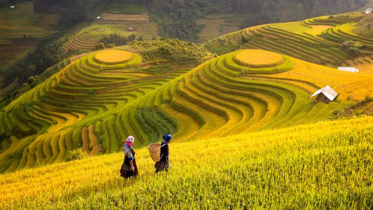 Sapa in September