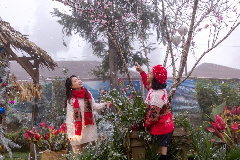 Snow in Sapa