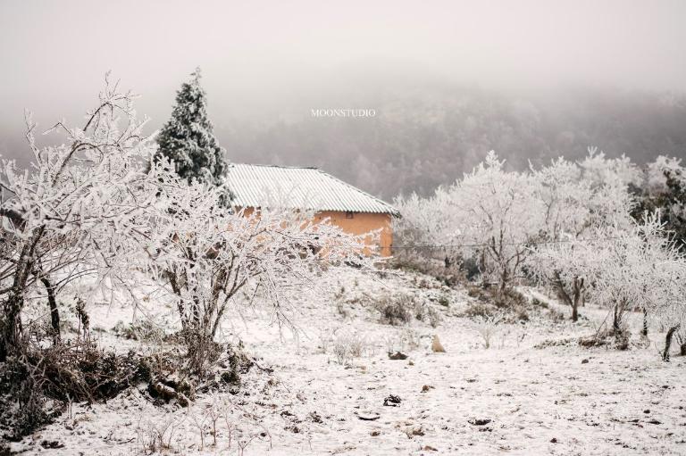 Snow in Sapa