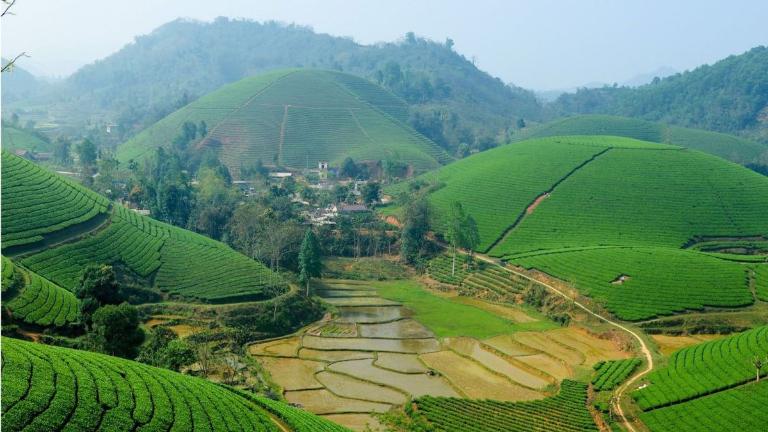 Suoi Giang in Yen Bai