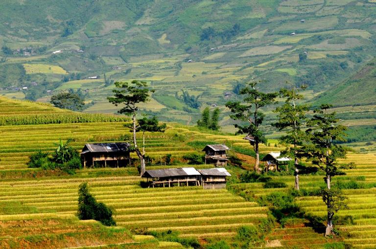 Things to Do in Mu Cang Chai