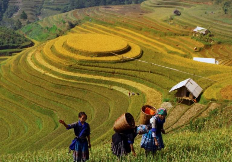 Things to Do in Mu Cang Chai,