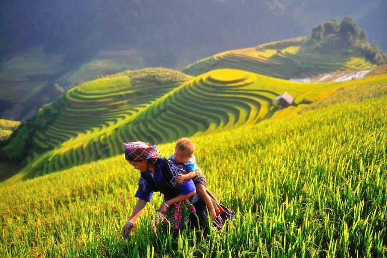 Things to Do in Mu Cang Chai