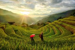 Things to Do in Mu Cang Chai