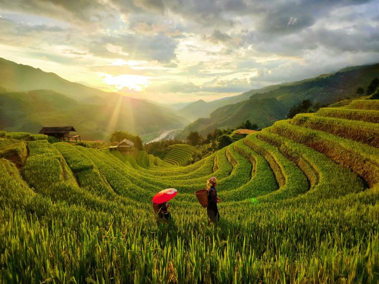 Things to Do in Mu Cang Chai