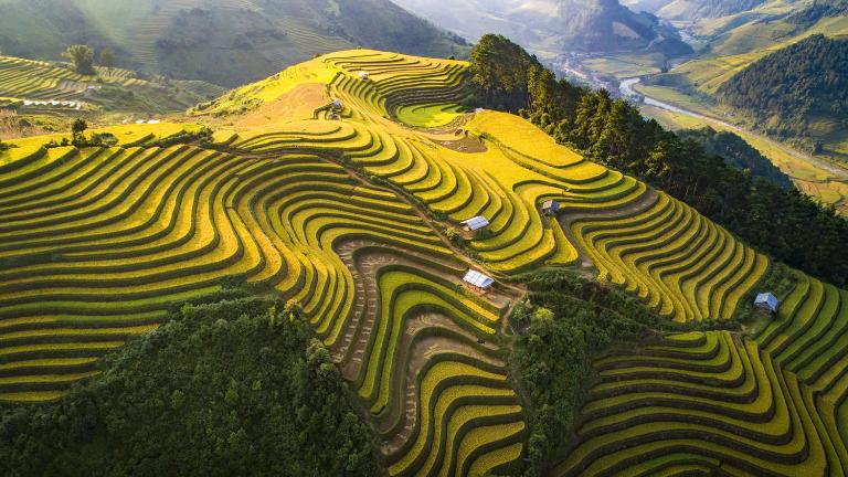 Things to Do in Mu Cang Chai