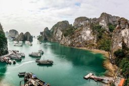 Tour Ha Long Bay to Ninh Binh