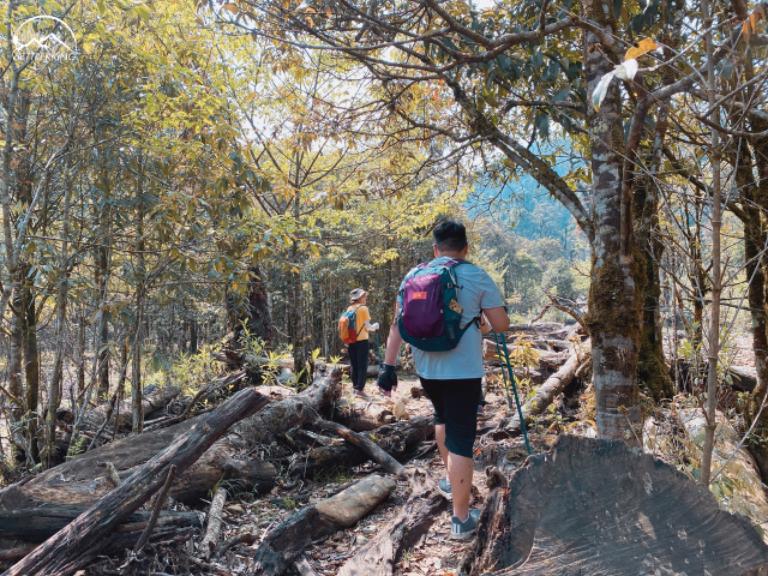 Trekking in Sapa