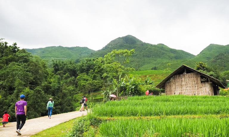 Trekking in Sapa