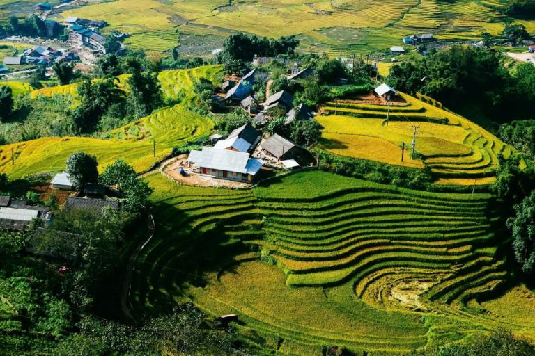 Trekking in Sapa