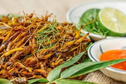 Yen Bai Stir-Fried Larvae