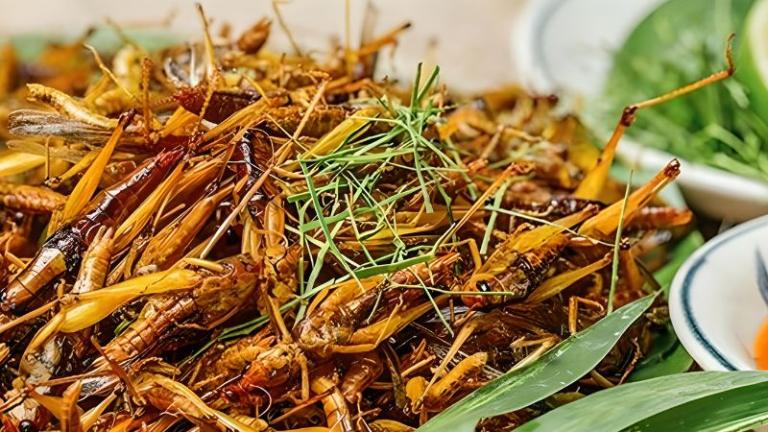 Yen Bai Stir-Fried Larvae