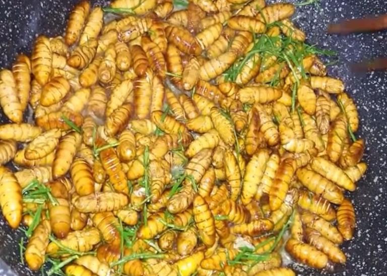 Yen Bai Stir-Fried Larvae