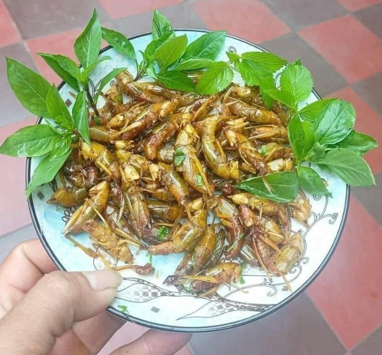 Yen Bai Stir-Fried Larvae