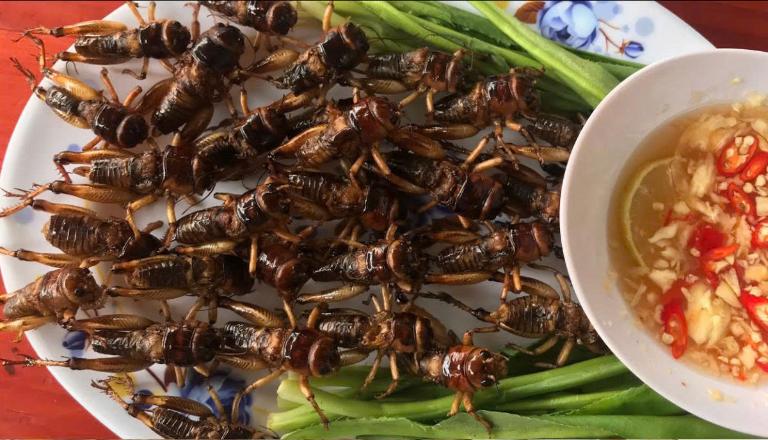 Yen Bai Stir-Fried Larvae