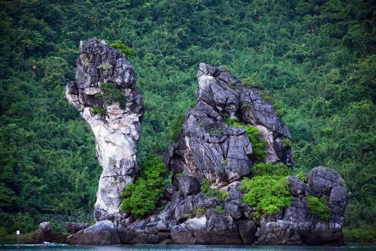 Bai Tu Long Bay