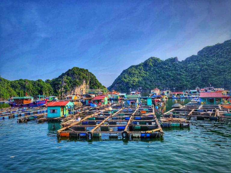 Cua Van Floating Village