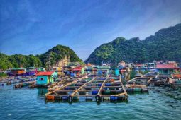 Floating Villages in Halong Bay