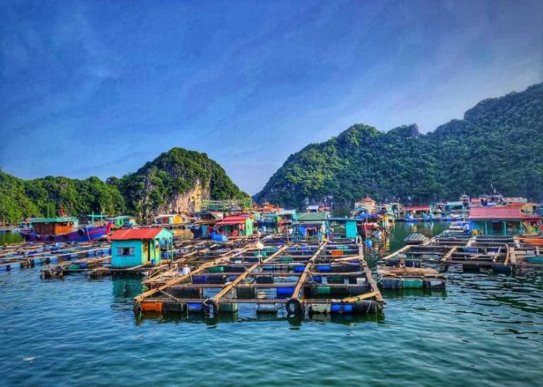 Floating Villages in Halong Bay