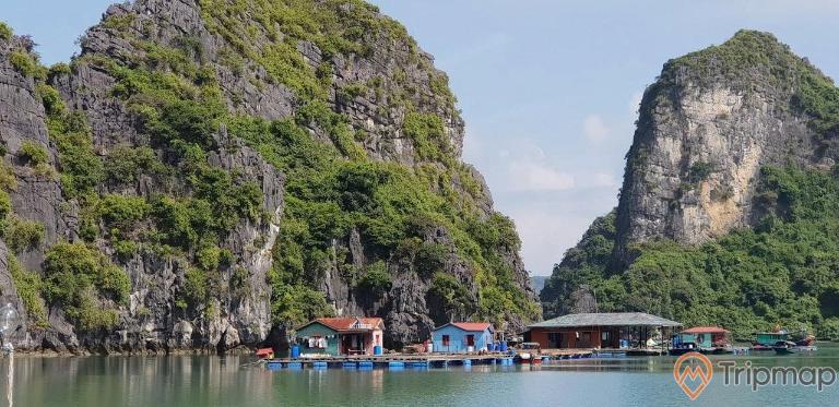 Floating Villages in Halong Bay