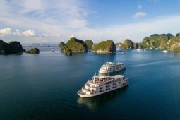 Things to Do in Halong Bay