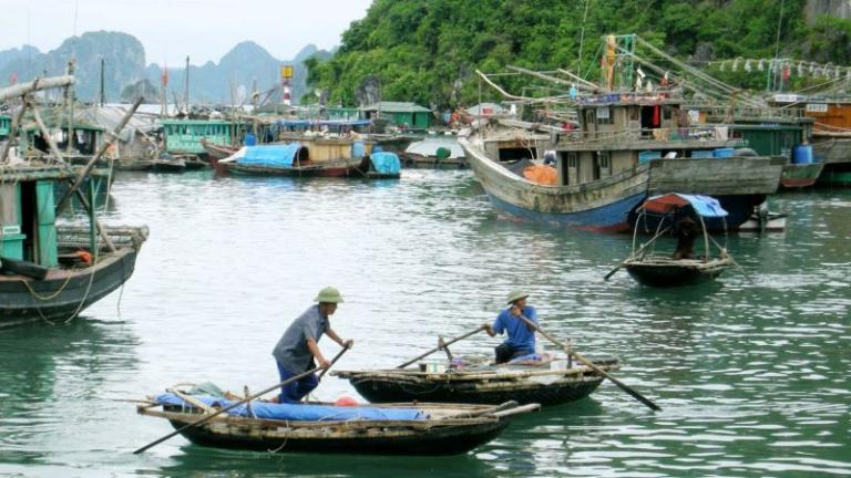 Things to Do in Halong Bay