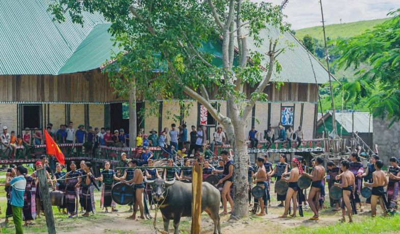 Buffalo Stabbing Festival