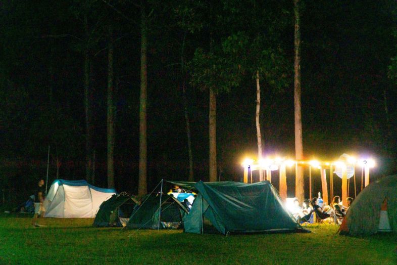 Discover the wild beauty of Cát Tiên National Park, where lush forests and rare wildlife await.