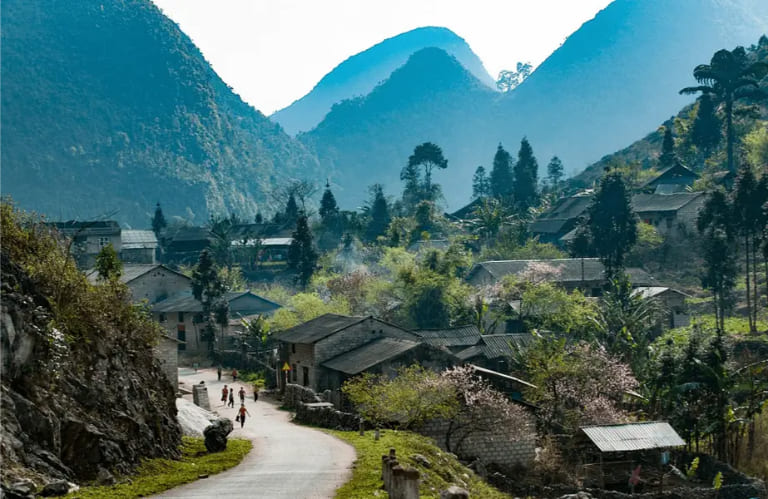 Sung La Valley blooms with color during buckwheat season, creating one of Ha Giang’s most photogenic landscapes.