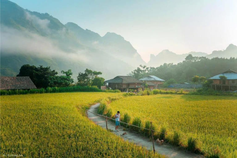 Du Gia’s peaceful rice fields and wooden houses offer a gentle contrast to the dramatic stone plateau.