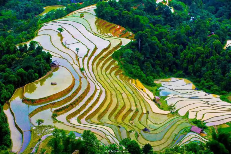 Lush green rice terraces and mist-covered mountains during the summer rainy season on the Ha Giang Loop.