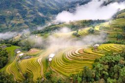 ha giang in summer