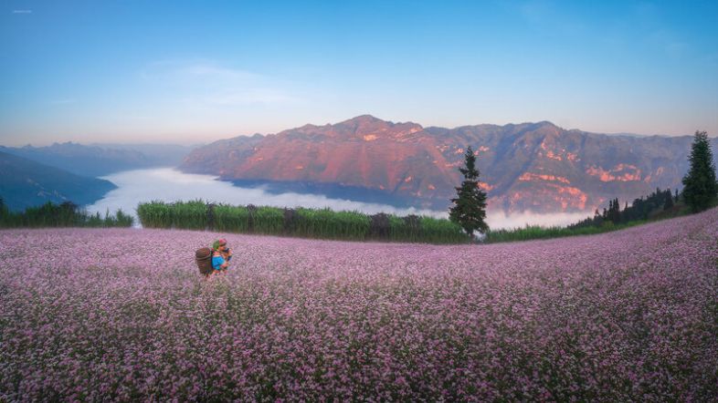 ha giang in autumn