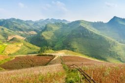 ha giang in autumn