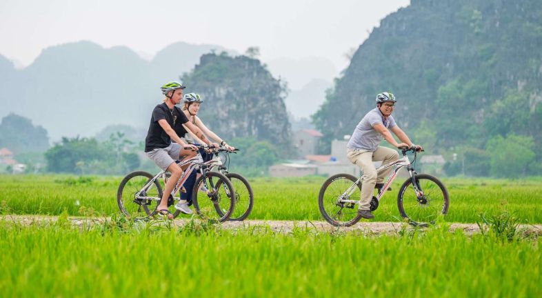 A traveler cycling along a rural path in Ninh Bình, surrounded by rice paddies and limestone mountains.