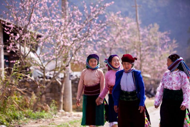 ha giang in spring