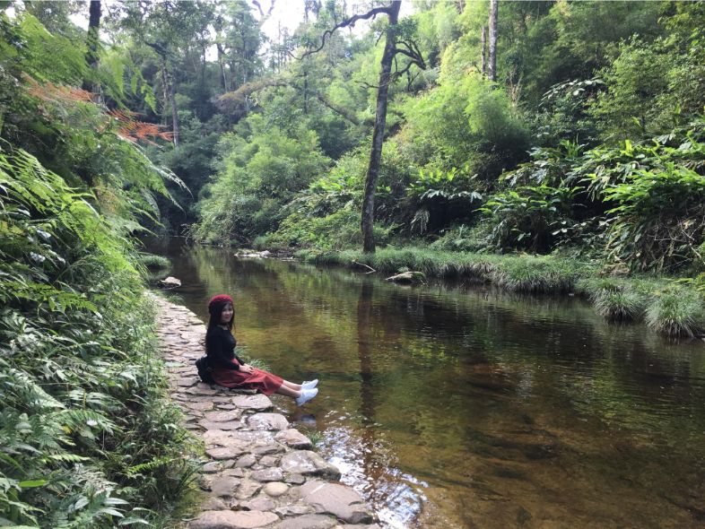Best time to visit Sapa