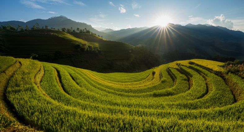 Mu Cang Chai