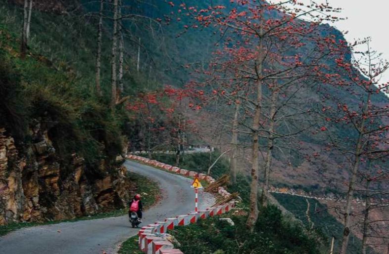 ha giang in spring