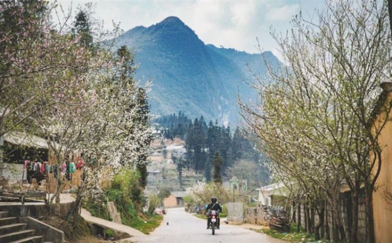 ha giang in spring
