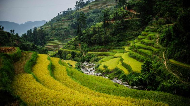 ha giang in summer