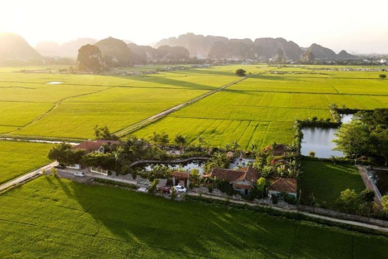 Ninh Binh rice field